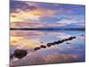 Ireland, Co.Donegal, Mulroy bay, Stepping stones at dusk-Shaun Egan-Mounted Photographic Print