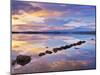 Ireland, Co.Donegal, Mulroy bay, Stepping stones at dusk-Shaun Egan-Mounted Photographic Print