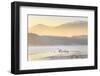 Ireland, Co.Donegal, Mulroy bay, Swans on frozen water-Shaun Egan-Framed Photographic Print