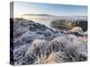 Ireland, Co.Donegal, Mulroy bay, winter landscape-Shaun Egan-Stretched Canvas