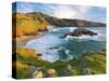 Ireland, Co.Donegal, Rosguil, Boyeeghter Bay overview-Shaun Egan-Stretched Canvas