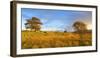 Ireland, Co.Donegal, Sacred heart church at Dunlewey-Shaun Egan-Framed Photographic Print