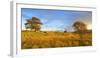 Ireland, Co.Donegal, Sacred heart church at Dunlewey-Shaun Egan-Framed Photographic Print