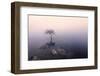 Ireland, Co.Donegal, tree reflected in Lough Dunlewey-Shaun Egan-Framed Photographic Print