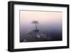 Ireland, Co.Donegal, tree reflected in Lough Dunlewey-Shaun Egan-Framed Photographic Print