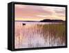 Ireland, Co.Mayo, Lough Conn at sunrise-Shaun Egan-Framed Stretched Canvas