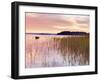 Ireland, Co.Mayo, Lough Conn at sunrise-Shaun Egan-Framed Photographic Print