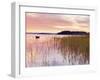 Ireland, Co.Mayo, Lough Conn at sunrise-Shaun Egan-Framed Photographic Print