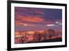 Ireland, County Antrim, Ballymoney, sunrise by The Dark Hedges-Walter Bibikow-Framed Photographic Print