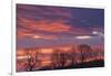 Ireland, County Antrim, Ballymoney, sunrise by The Dark Hedges-Walter Bibikow-Framed Photographic Print