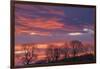 Ireland, County Antrim, Ballymoney, sunrise by The Dark Hedges-Walter Bibikow-Framed Photographic Print