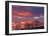 Ireland, County Antrim, Ballymoney, sunrise by The Dark Hedges-Walter Bibikow-Framed Photographic Print