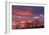 Ireland, County Antrim, Ballymoney, sunrise by The Dark Hedges-Walter Bibikow-Framed Photographic Print