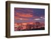 Ireland, County Antrim, Ballymoney, sunrise by The Dark Hedges-Walter Bibikow-Framed Photographic Print