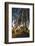 Ireland, County Antrim, Ballymoney, The Dark Hedges road-Walter Bibikow-Framed Photographic Print