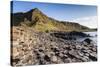 Ireland, County Antrim, Bushmills, Giants Causeway, basalt rock formation-Walter Bibikow-Stretched Canvas