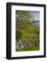 Ireland, County Galway, Cong, elevated springtime landscape-Walter Bibikow-Framed Photographic Print