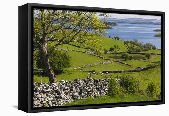 Ireland, County Galway, Cong, elevated springtime landscape-Walter Bibikow-Framed Stretched Canvas