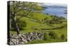 Ireland, County Galway, Cong, elevated springtime landscape-Walter Bibikow-Stretched Canvas