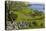 Ireland, County Galway, Cong, elevated springtime landscape-Walter Bibikow-Stretched Canvas