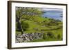 Ireland, County Galway, Cong, elevated springtime landscape-Walter Bibikow-Framed Photographic Print