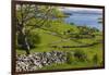 Ireland, County Galway, Cong, elevated springtime landscape-Walter Bibikow-Framed Photographic Print