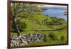 Ireland, County Galway, Cong, elevated springtime landscape-Walter Bibikow-Framed Photographic Print