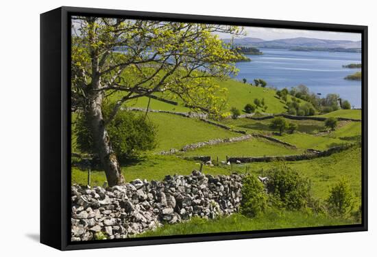 Ireland, County Galway, Cong, elevated springtime landscape-Walter Bibikow-Framed Stretched Canvas