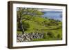 Ireland, County Galway, Cong, elevated springtime landscape-Walter Bibikow-Framed Photographic Print