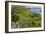 Ireland, County Galway, Cong, elevated springtime landscape-Walter Bibikow-Framed Photographic Print