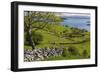 Ireland, County Galway, Cong, elevated springtime landscape-Walter Bibikow-Framed Photographic Print