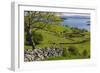 Ireland, County Galway, Cong, elevated springtime landscape-Walter Bibikow-Framed Photographic Print