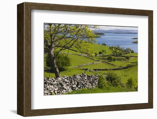 Ireland, County Galway, Cong, elevated springtime landscape-Walter Bibikow-Framed Photographic Print