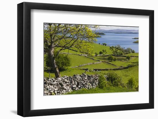 Ireland, County Galway, Cong, elevated springtime landscape-Walter Bibikow-Framed Photographic Print