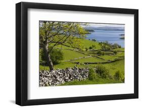 Ireland, County Galway, Cong, elevated springtime landscape-Walter Bibikow-Framed Photographic Print