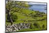 Ireland, County Galway, Cong, elevated springtime landscape-Walter Bibikow-Mounted Photographic Print
