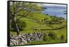 Ireland, County Galway, Cong, elevated springtime landscape-Walter Bibikow-Framed Stretched Canvas