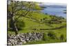 Ireland, County Galway, Cong, elevated springtime landscape-Walter Bibikow-Stretched Canvas