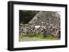 Ireland, County Kerry Cottage detail-Walter Bibikow-Framed Photographic Print