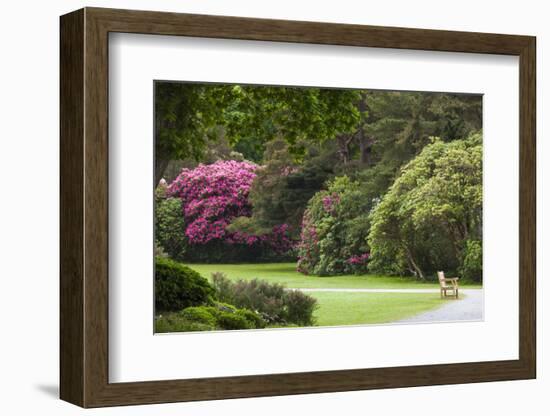 Ireland, County Kerry, Ring of Kerry, gardens in springtime-Walter Bibikow-Framed Photographic Print