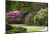 Ireland, County Kerry, Ring of Kerry, gardens in springtime-Walter Bibikow-Mounted Photographic Print