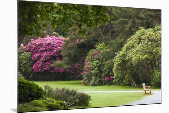 Ireland, County Kerry, Ring of Kerry, gardens in springtime-Walter Bibikow-Mounted Photographic Print