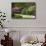 Ireland, County Kerry, Ring of Kerry, gardens in springtime-Walter Bibikow-Framed Stretched Canvas displayed on a wall