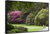 Ireland, County Kerry, Ring of Kerry, gardens in springtime-Walter Bibikow-Framed Stretched Canvas