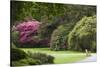 Ireland, County Kerry, Ring of Kerry, gardens in springtime-Walter Bibikow-Stretched Canvas