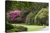 Ireland, County Kerry, Ring of Kerry, gardens in springtime-Walter Bibikow-Stretched Canvas