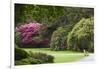 Ireland, County Kerry, Ring of Kerry, gardens in springtime-Walter Bibikow-Framed Photographic Print