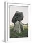 Ireland, County Louth, Ballymascanlon, Proleek Dolmen-null-Framed Giclee Print