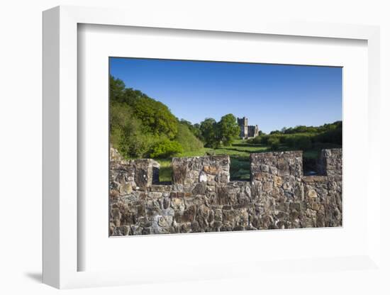 Ireland, County Wexford, Saltmills, Tintern Abbey-Walter Bibikow-Framed Photographic Print