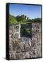 Ireland, County Wexford, Saltmills, Tintern Abbey-Walter Bibikow-Framed Stretched Canvas